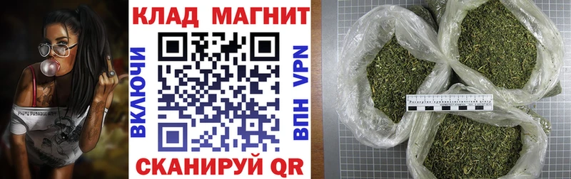 Купить закладку Чаплыгин Гашиш  ЭКСТАЗИ  Меф  Бошки Шишки 