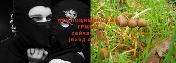 синтетический гашиш Алексин